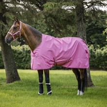 Aurora Pink